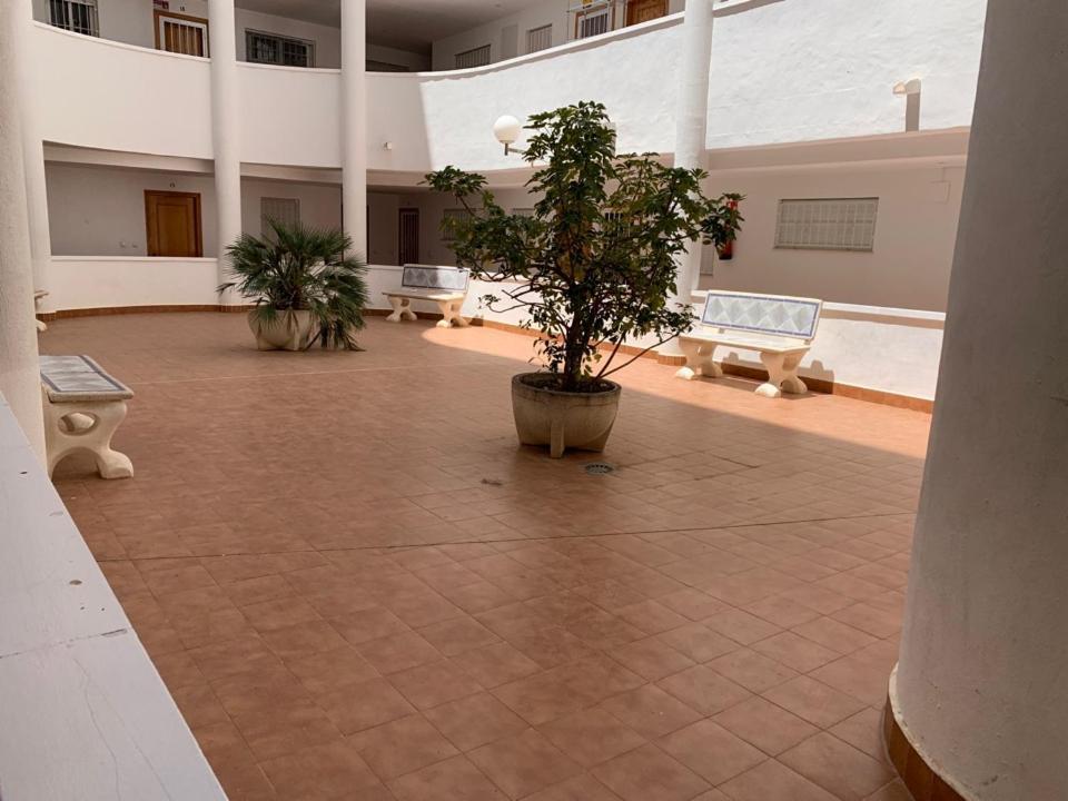 San Luis Leilighet Torrevieja Eksteriør bilde